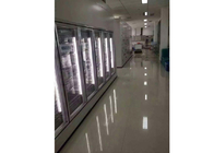 درب های قفسه انبار سرد / شیشه ای سفارشی برای فریزر پزشکی