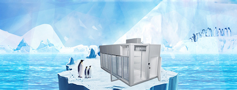 واحد یخچال خنک کننده هوا