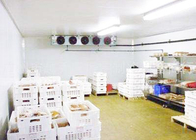 Copeland کمپرسور ذخیره سازی سرد برای گوشت پردازش غذاهای دریایی 1 سال گارانتی